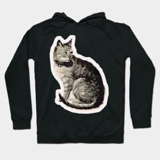 Cat vintage drawing Hoodie